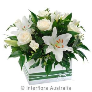 Classic Box Arrangement — Flower Bud and Co